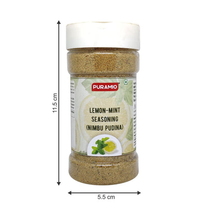 Puramio Lemon-Mint Seasoning (Nimbu Pudina), 100g